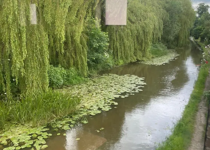 - House - 6 - Garden - Location